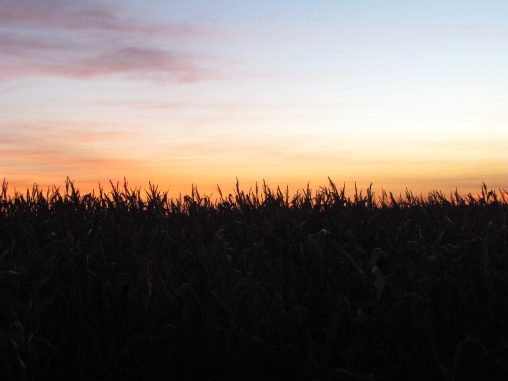 Trayecto de Foz Iguazu a&nbsp;Dourados.