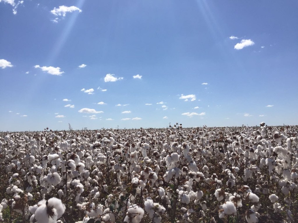 Rondonopolis a Cuiaba,&nbsp;Brasil