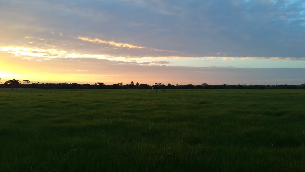 Agradecimientos Colombia